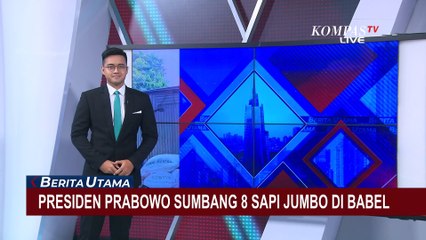 Potret 8 Sapi Sumbangan Presiden Prabowo untuk Idul Adha di Bangka Belitung