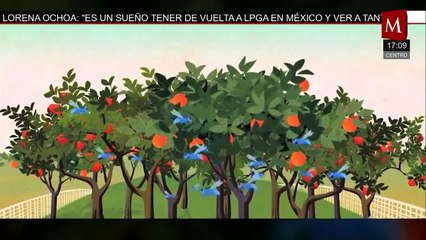 ¿Cómo las moscas estériles pueden acabar con la plaga del gusano barrenador?