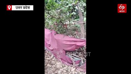 Watch: वाराणसी के इस इलाके में दिखा तेंदुआ, तीन युवकों को किया लहूलुहान, वन विभाग की टीम तलाश में जुटी