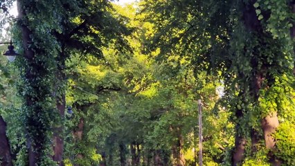 Sheffield Park Review: Join me on a springtime walk through Nether Edge to beautiful Chelsea Park