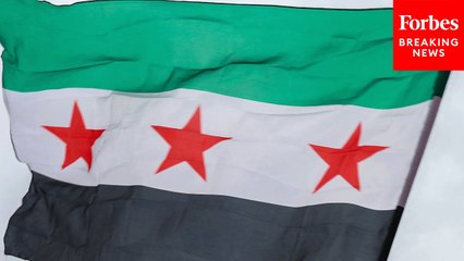 'What's The Status Of The Relief That The President Promised?': State Department Spokesperson Pressed On Syria