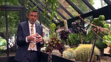 RHS Chelsea Flower Show 2025 episode 8