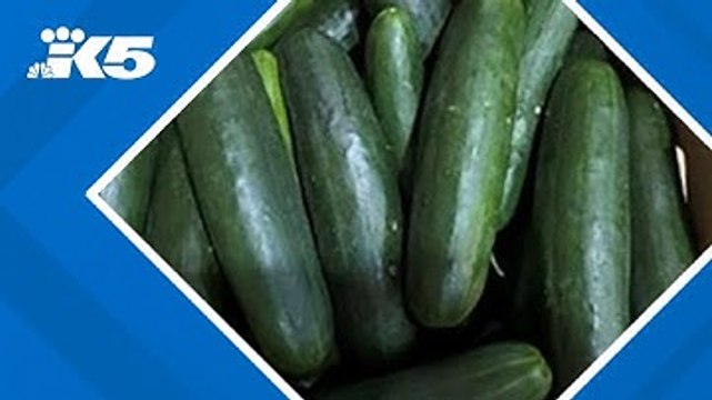 Cucumbers recalled due to salmonella outbreak