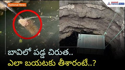 బావిలో పడ్డ చిరుత.. ఎలా బయటకు తీశారంటే..? | Tiger in Well | Asianet News Telugu