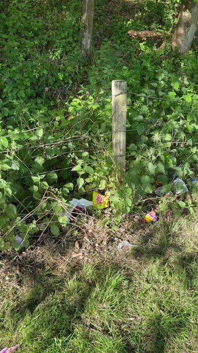 Mess left by travellers at Edinburgh public park following week-long stay
