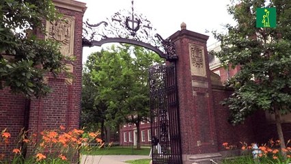 Harvard demanda a Trump por veto a estudiantes extranjeros