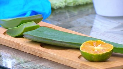 bd-beneficios-del-aloe-vera-230525