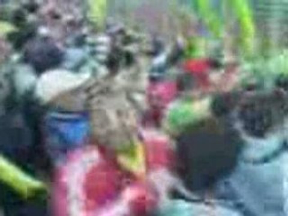 jsk coton sport ambiance  imazighzen imazighen