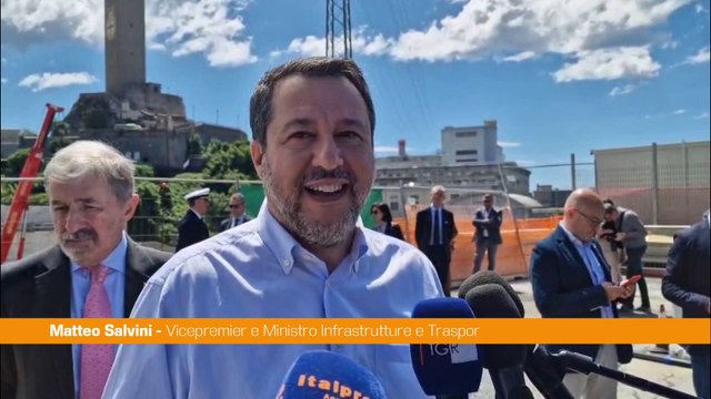 Fecondazione assistita, Salvini Da Consulta sentenza politica