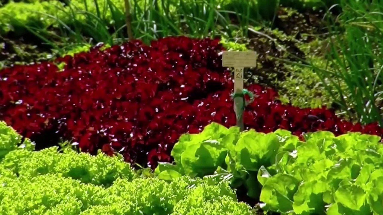 Hacienda acuerda con agroindustrias y tiendas para mantener precios accesibles en productos básicos