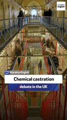 Chemical castration debate in the UK