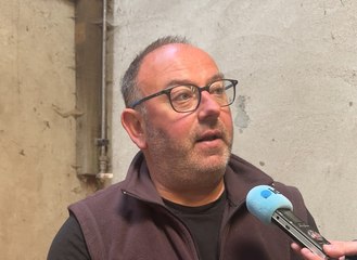 Contraintes agricoles : trois questions à Laurent Duplomb, sénateur LR de Haute-Loire, auteur de la proposition de loi de réintroduction des néonicotinoïdes