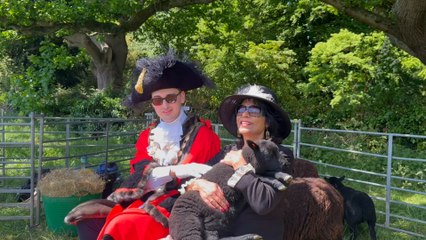 Sheep roaming the Downs: Why sheep help us keep our green space!