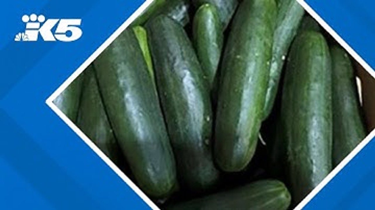 Cucumbers recalled due to salmonella outbreak
