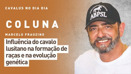 Cavalus no Dia Dia: influência do cavalo lusitano na formação de raças e na evolução genética