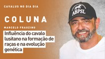 Cavalus no Dia Dia: influência do cavalo lusitano na formação de raças e na evolução genética