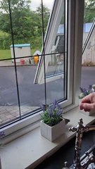 Failed attempt to save him