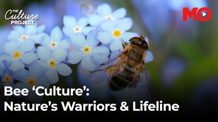 When Bees Went to War; And Why We Need Them Today