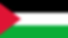 Palestina ♡ (Creación y Concientización) (2K)