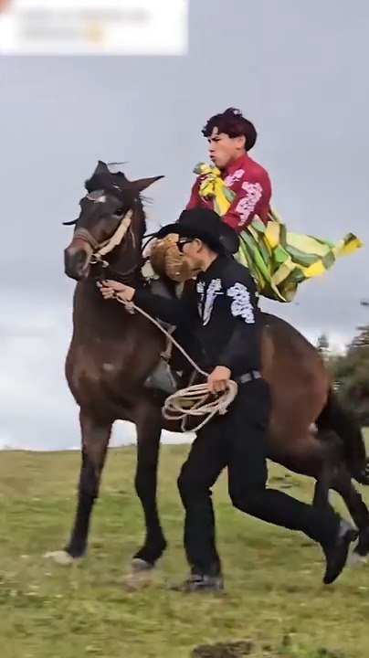 Man Falls Off Horse as They Run Out of Control