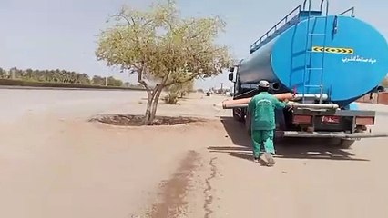 Tree irrigation