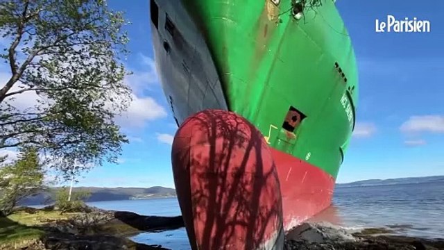 Un énorme cargo s’échoue à cinq mètres de chez lui