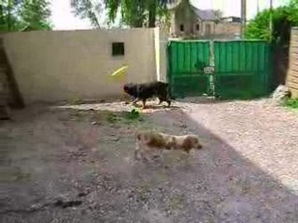 MOV00340