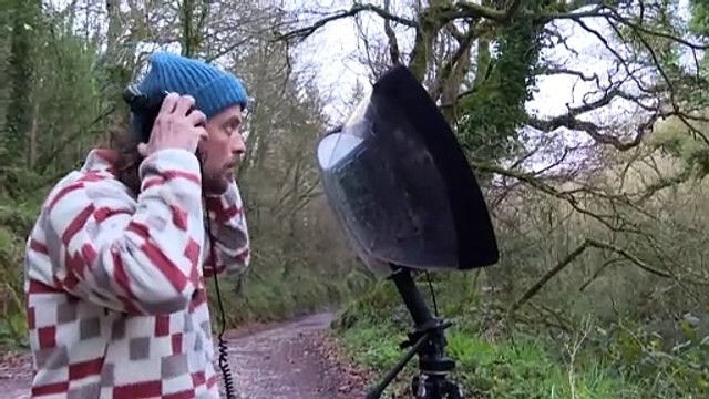 La mission d'un Irlandais: enregistrer les chants de toutes les espèces d'oiseaux