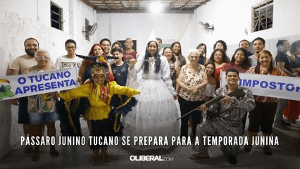 Pássaro Junino Tucano se prepara para a temporada junina