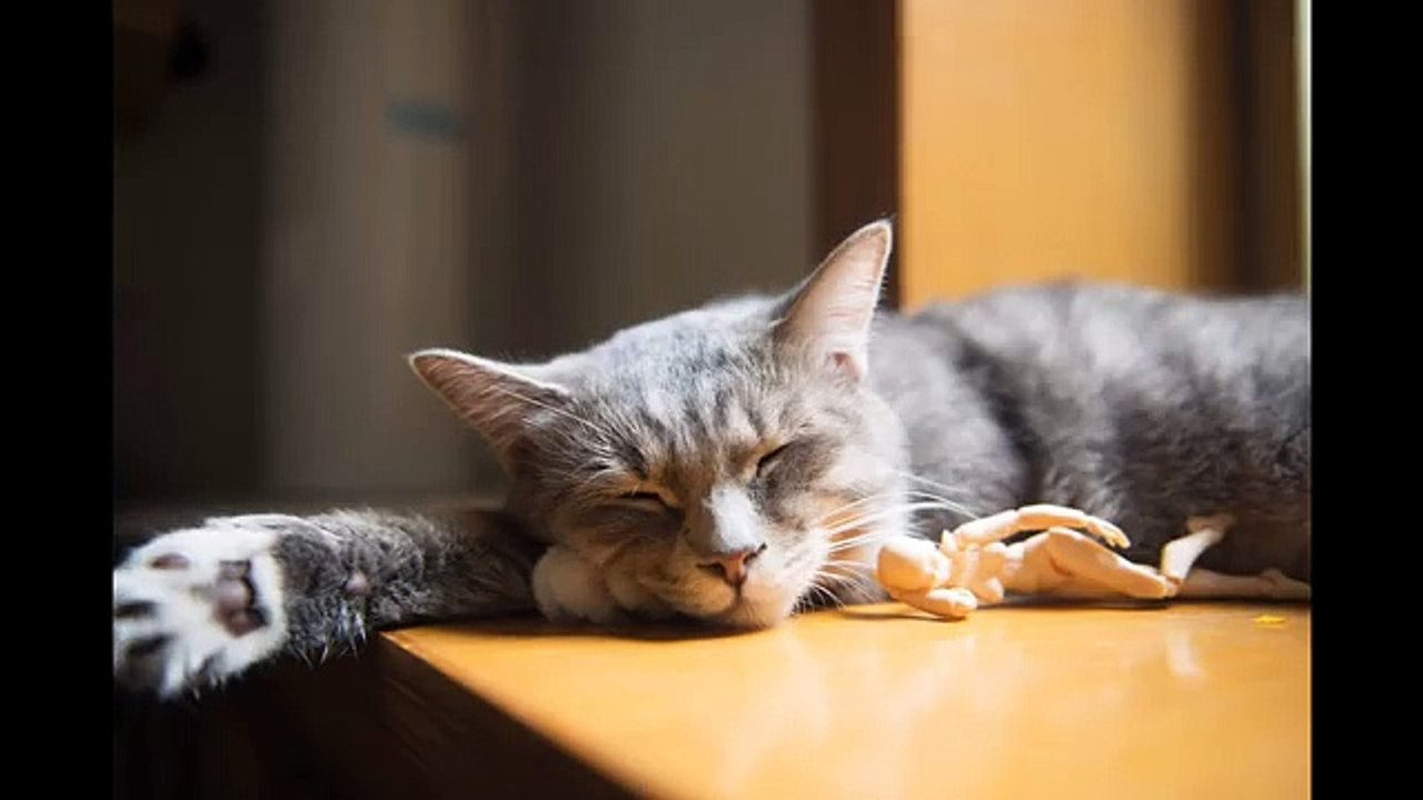 DREAMING OF SOMETHING TASTY TO EAT