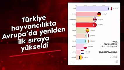 Türkiye hayvancılıkta Avrupa'da yeniden ilk sıraya yükseldi