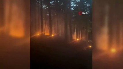 Mesire alanına düşen yıldırım ormanı yaktı