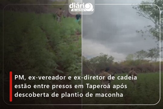 PM, ex-vereador e ex-diretor de cadeia estão entre presos em Taperoá após descoberta de plantio de maconha