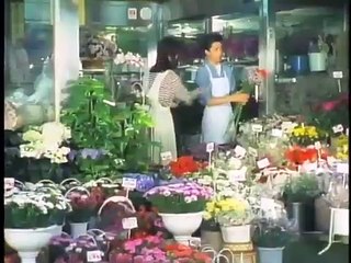 スワンの涙第8話