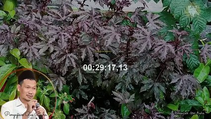 Full GuS Baha Sholat Di Akhir Waktu Yes Or No