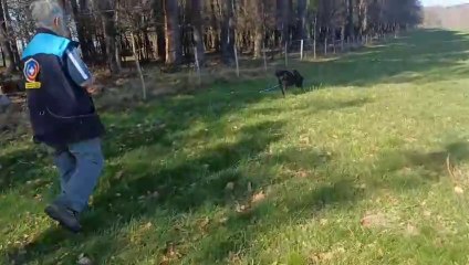 plots avec martzuk el 16 fevrier 25 ‐