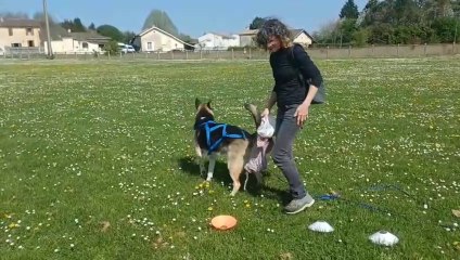 plots avec sunny le 6 4 25 ‐