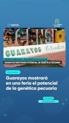 Guarayos mostrará en una feria el potencial de la genética pecuaria