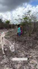 OLHA QUE ENGRAÇADO KKKKĶKK