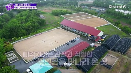 ♨골골 관절에서 튼튼 관절로!♨ 관절 나이 역주행 주인공의 등장!