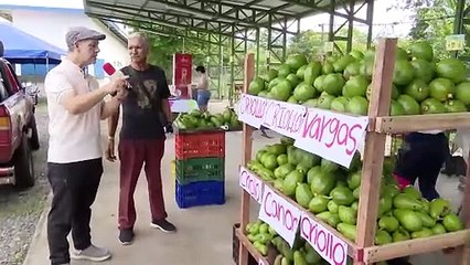 PASE 23 MAYO FERIA DEL AGUACATE