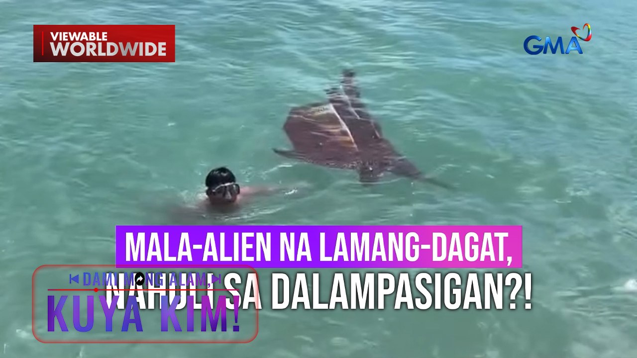 Mala-alien na lamang-dagat, nahuli?; Lalaki, nabasagan ng bungo? | Dami Mong Alam, Kuya Kim!