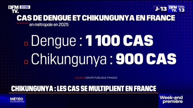 Prolifération des moustiques tigre: 1.100 cas de dengue et 900 de chikungunya recensés en France en 2025
