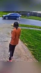 Wait… Why Does My Dog Treat My Friend Like a Litter Mate? 🤔 #DogLogic