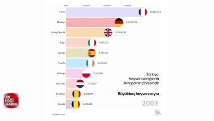 Türkiye hayvancılıkta Avrupa'da yeniden ilk sıraya yükseldi