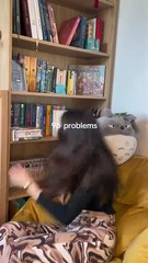 99 Problèmes, 1 Solution : Découvrez l'Inattendu ! 🔍