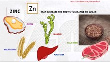 Foods rich in zinc