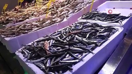 Karadeniz’de balık stokları azalıyor