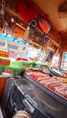 Bus Journey from Dharamshala Bus Stand to McLeodganj 🚌 | Scenic Mountain Ride