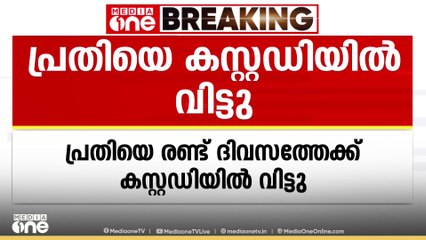 ആലുവയിൽ മൂന്നു വയസ്സുകാരിയെ പീഡിപ്പിച്ച കേസ്: പ്രതിയെ കസ്റ്റഡിയിൽ വിട്ടു